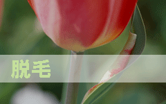 脱毛