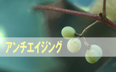 アンチエイジング